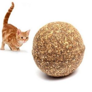 Pelota Catnip