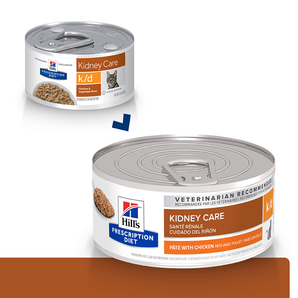 Hills KD Kidney Care 156 GR 0