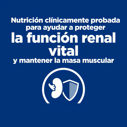 Hills KD Kidney Care 156 GR 6