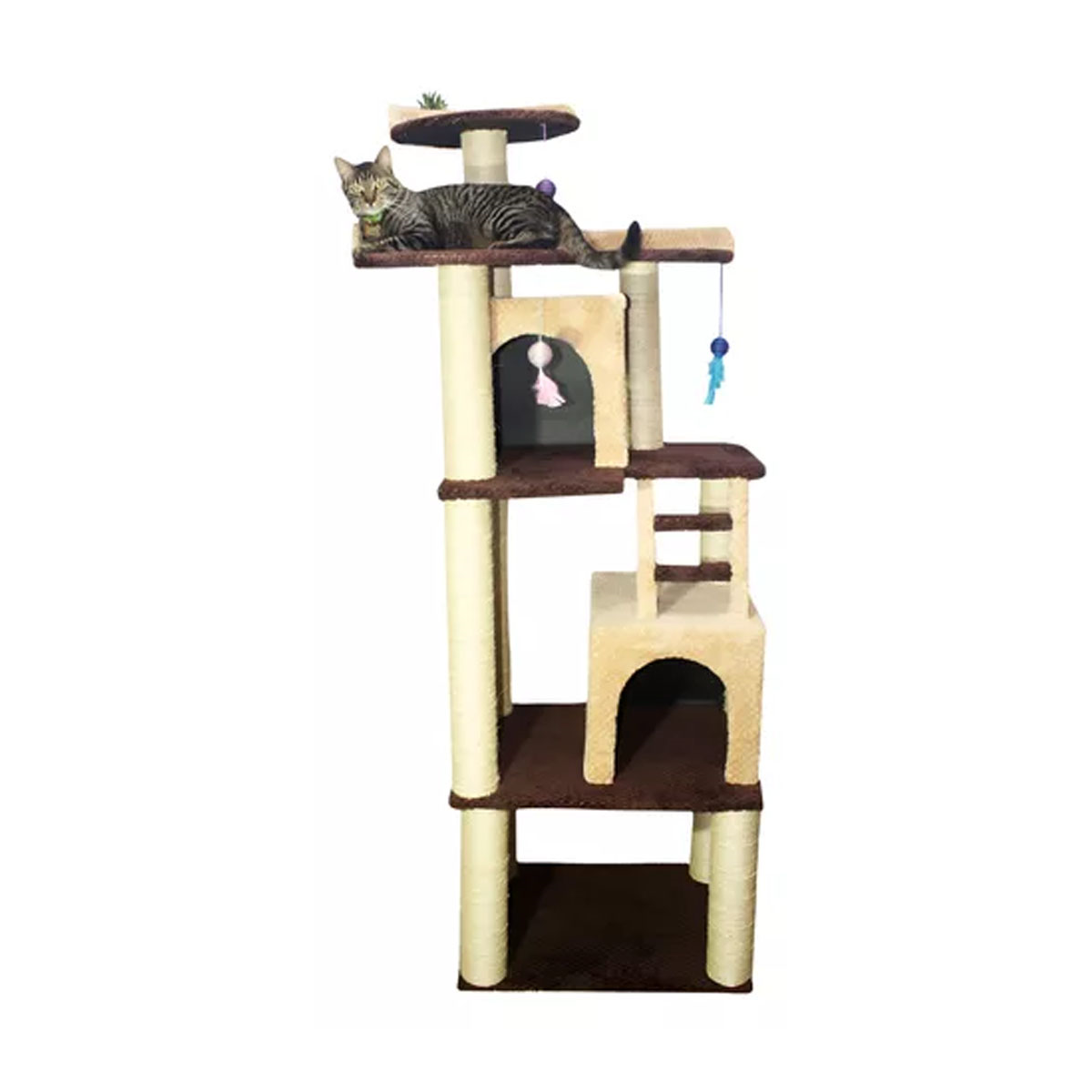 GM05V Gym Tridente 2
